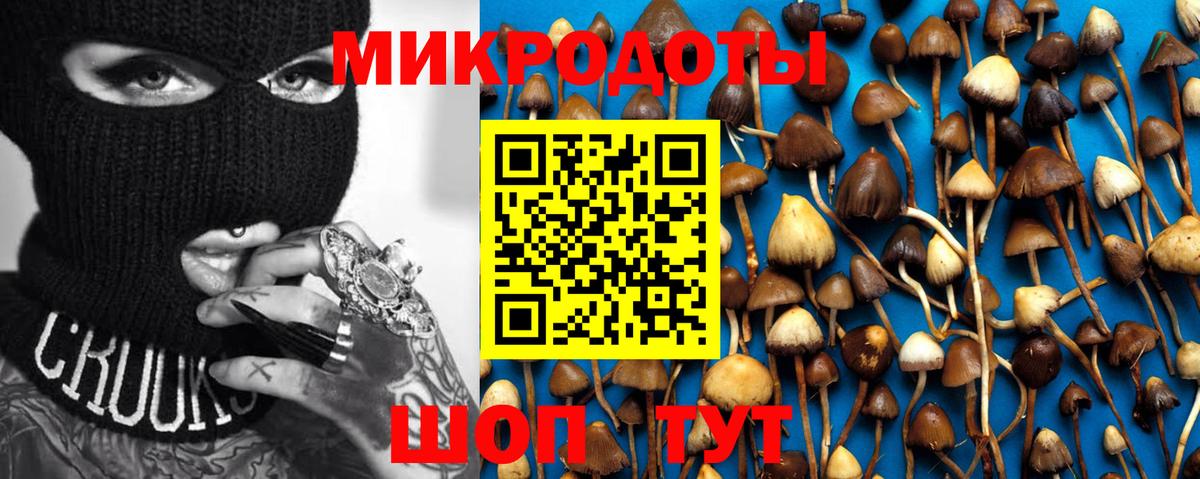 Белорецк  Псилоцибиновые грибы MAGIC MUSHROOMS  Вход с VPN 